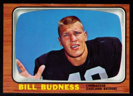 105 Bill Budness